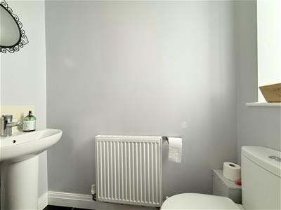 Picture 10